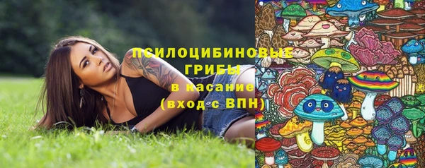 COCAINE Богородицк