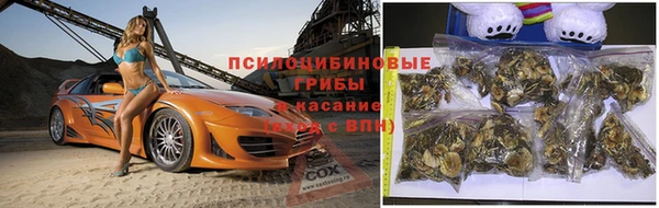COCAINE Богородицк