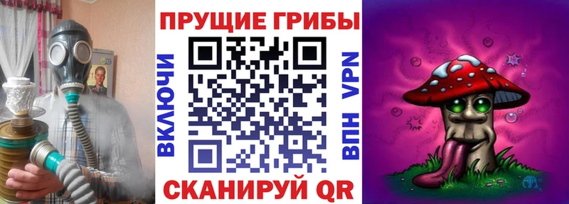 Галлюциногенные грибы ЛСД  omg зеркало  Красновишерск 